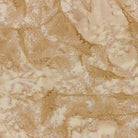 1895-563-Biscuit.jpg
