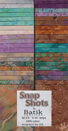 Mermaid Party Snap Shots Web2.jpg