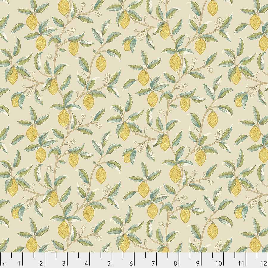 PWWM047.LINEN__81867.jpg