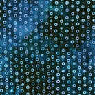 SRK_22058_73.jpeg