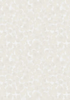 BB02-BB40.jpg
