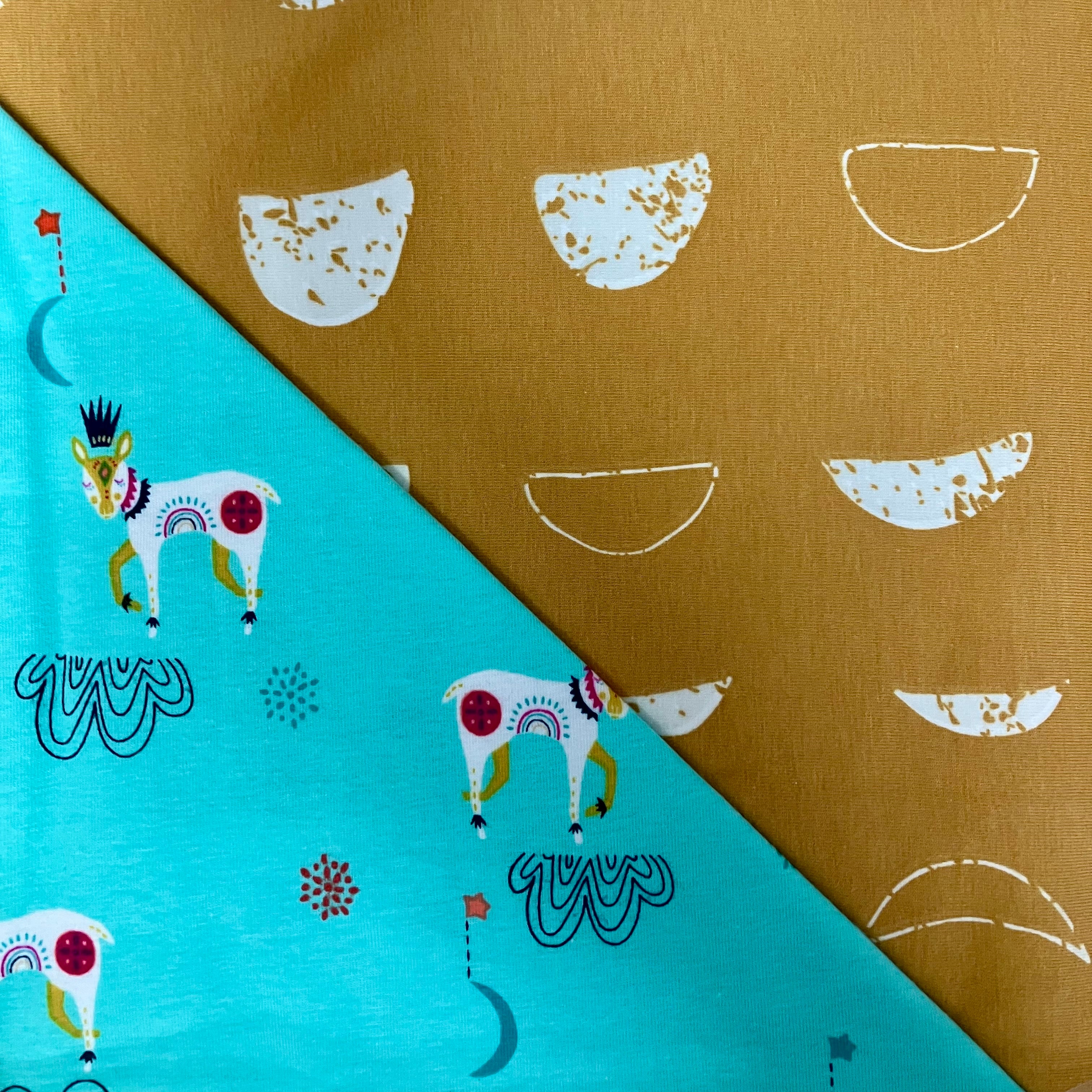 Burro BB blanket.jpg