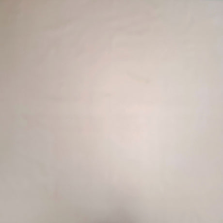 9026 CAMEL_l.jpg