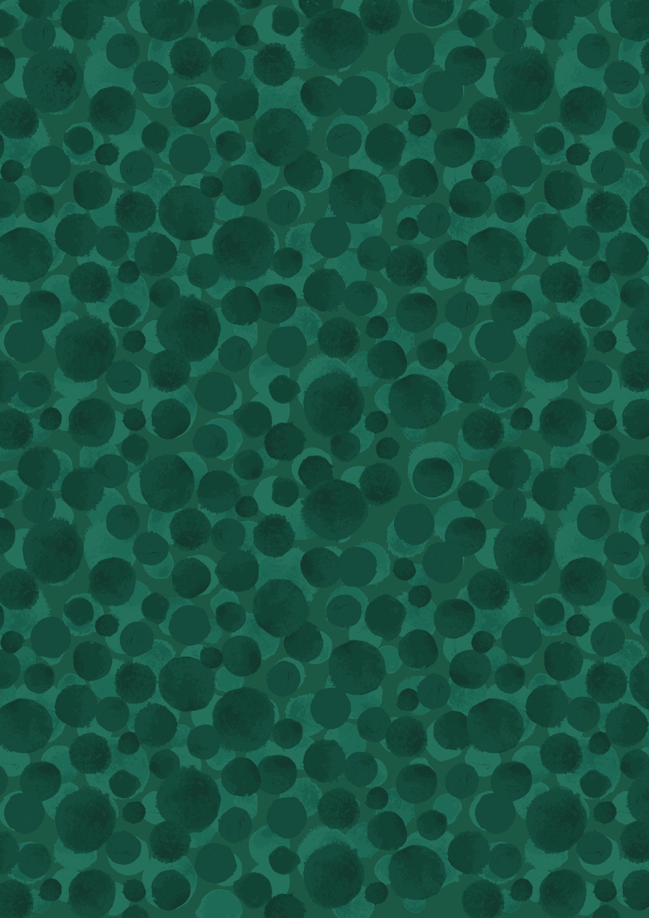 BB025.jpg