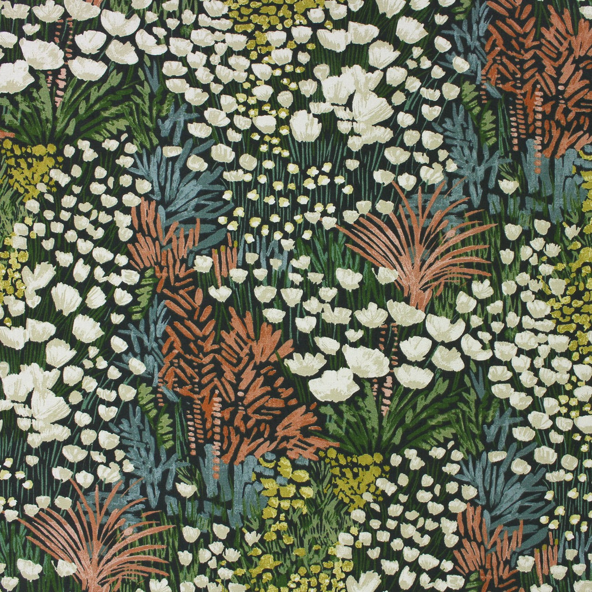 Adelaide – Bloom | Cotton Canvas