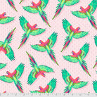 pwtp170.dragonfruit__02033.jpg