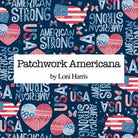 PAME_Patchwork_Americana_20230419110242.jpeg