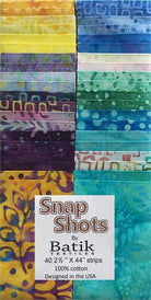SnapShot_SunCatchersforWebsite.jpg