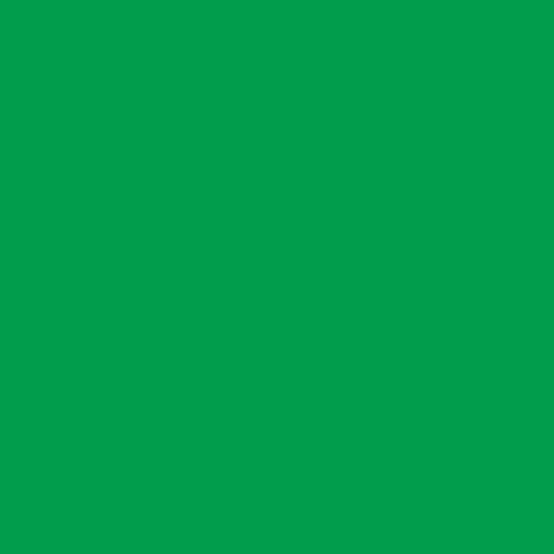 Winterfleece Solid Velour – Jolly Green | Winterfleece