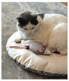 Screenshot 2025-07-09 at 7.47.38 AM.png