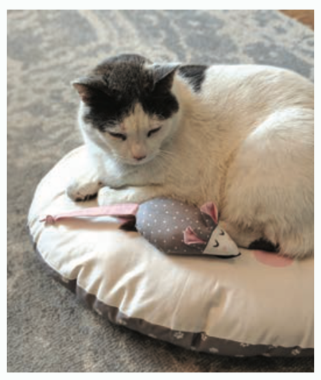 Screenshot 2025-07-09 at 7.47.38 AM.png