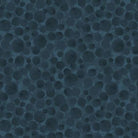 BBF03.jpg