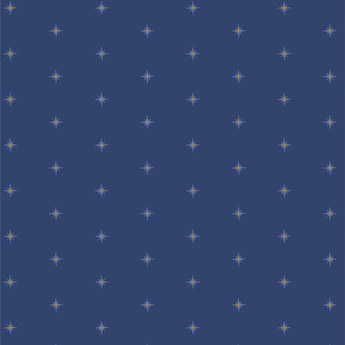 STR88901-Shining-Stardusk_500px.jpg