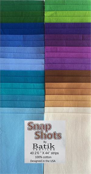 SnapShot-EssentialsSummerforwebsite.jpg