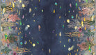 55254D-1.jpg