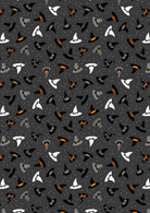 A886C.jpeg