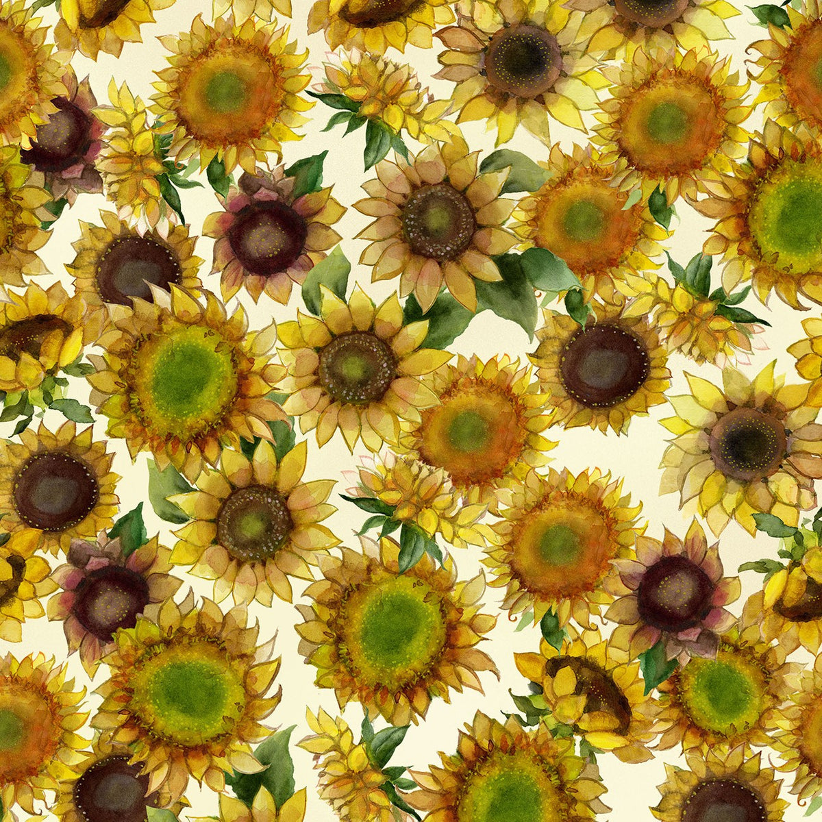 Sunflower Song – Sunflowers | Light Cream | Sue Zipkin | Cotton Quilting Fabric
