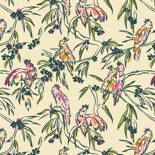 CUR8BH107-Parakeet-Paradise_500px.jpg