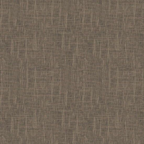 S4705-342-Woody.jpg