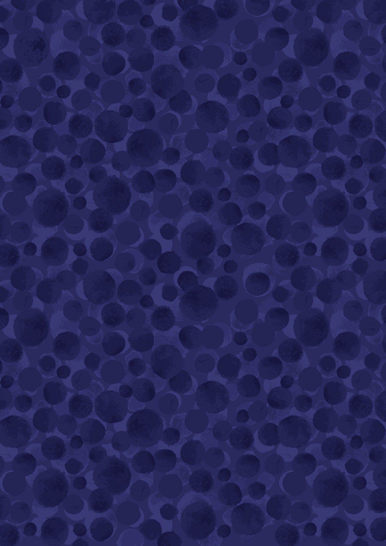 BB028.jpg